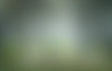 Gen Alpha Pt 2