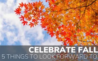 Celebrate Fall! 5 Things To Look Forward To