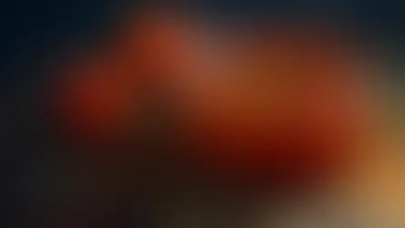 tomato sauce